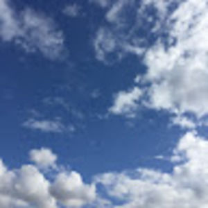 Meet your Posher, Brin